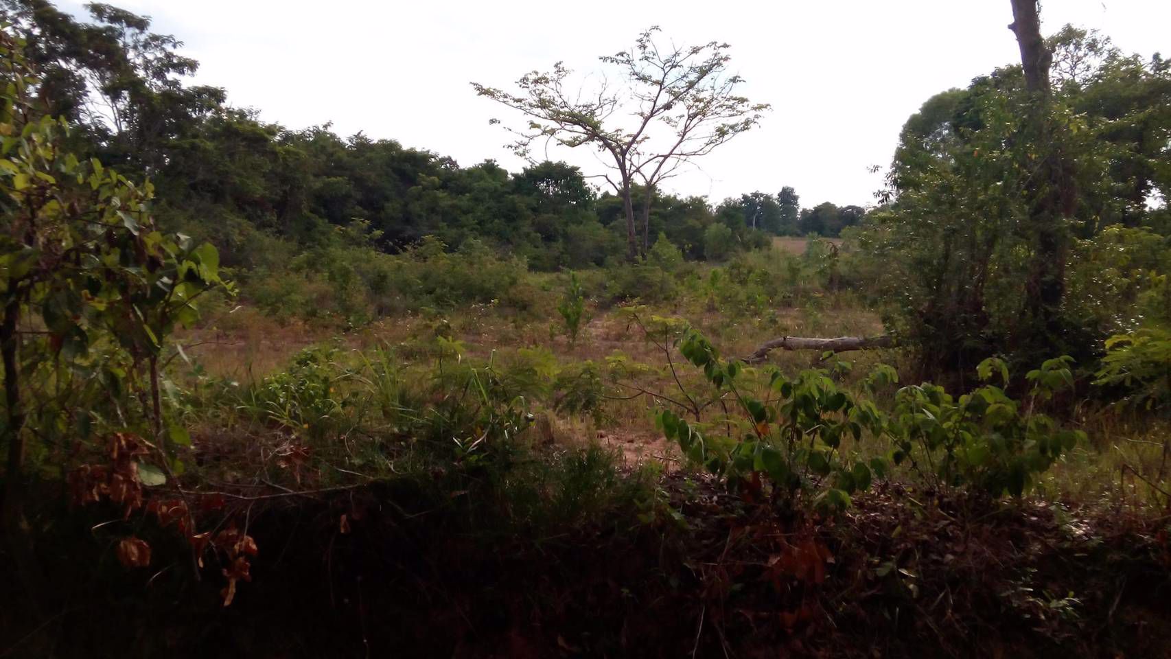 ขายที่ดินตรงข้าม-นพค26-ติดคลองชลประทาน-มีน้ำใช้ตลอดปี-อพรรณานิคม-จสกลนคร