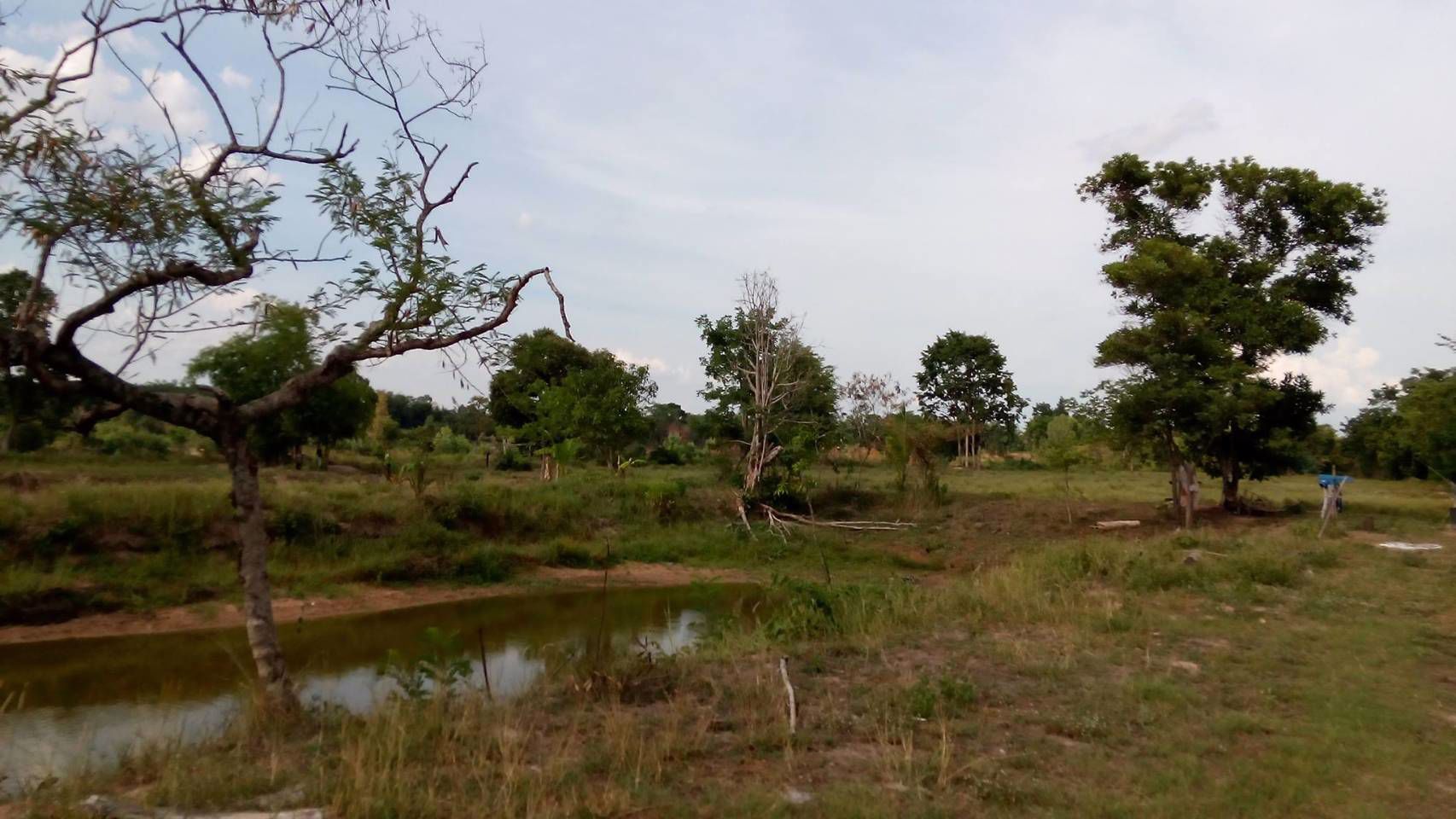 ขายที่ดินตรงข้าม-นพค26-ติดคลองชลประทาน-มีน้ำใช้ตลอดปี-อพรรณานิคม-จสกลนคร