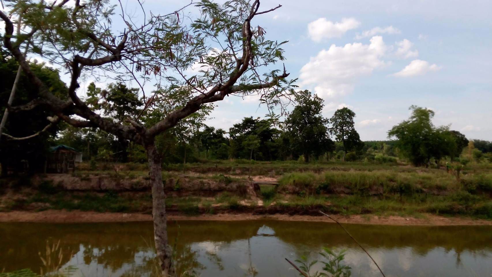 ขายที่ดินตรงข้าม-นพค26-ติดคลองชลประทาน-มีน้ำใช้ตลอดปี-อพรรณานิคม-จสกลนคร