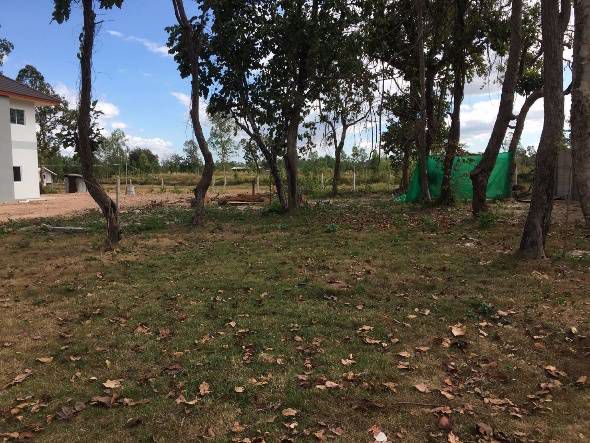 ที่ดินใกล้ศาลากลางสกลนคร-ตธาตุนาเวง-อเมือง-จสกลนคร