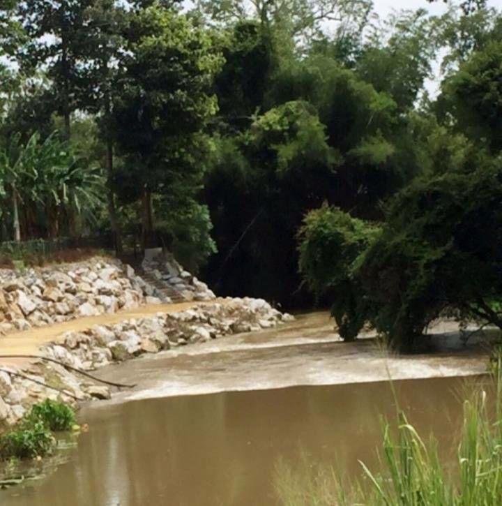 ที่ดินแบ่งขาย-434-ตารางวา-ปากช่อง-เขาใหญ่-ในโครงการ-ริมน้ำ-ออร์คิด-ยอร์ช