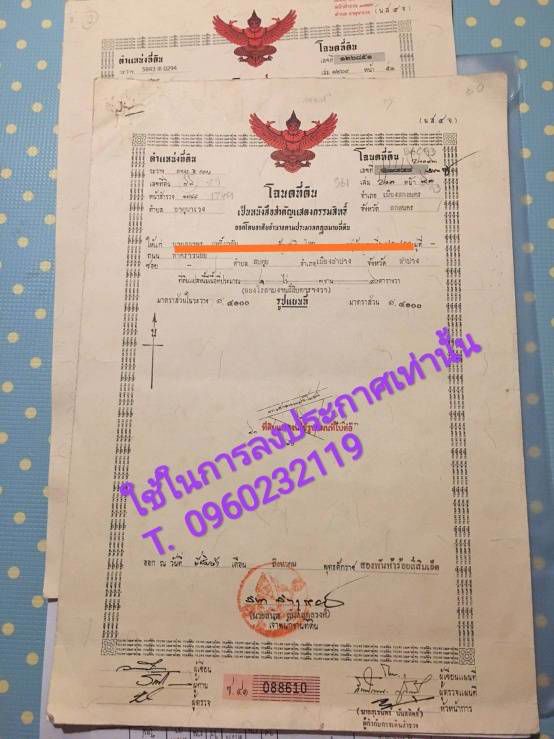 ที่ดินพร้อมโฮมออฟฟิศ-ติดถนนคอนกรีต-ตธาตุนาเวง-อเมือง-จสกลนคร