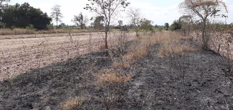 ที่ดินสวยราคาถูก-ทำเลดี-มีอนาคตใกล้มอเตอร์เวย์-เหมาะสำหรับสร้างบ้านหรือซื้อไว้เก็งกำไรในอนาคต