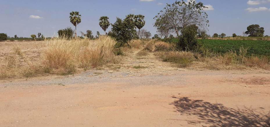 ที่ดินสวยราคาถูก-ทำเลดี-มีอนาคตใกล้มอเตอร์เวย์-เหมาะสำหรับสร้างบ้านหรือซื้อไว้เก็งกำไรในอนาคต