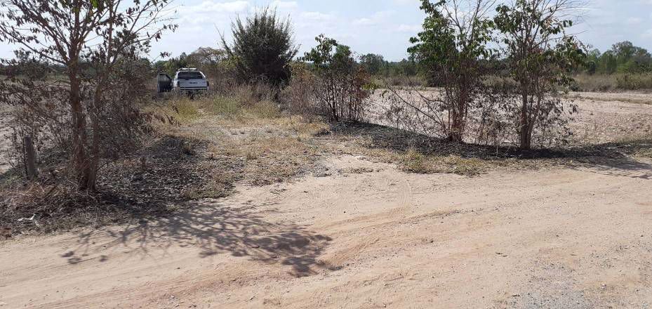 ที่ดินสวยราคาถูก-ทำเลดี-มีอนาคตใกล้มอเตอร์เวย์-เหมาะสำหรับสร้างบ้านหรือซื้อไว้เก็งกำไรในอนาคต