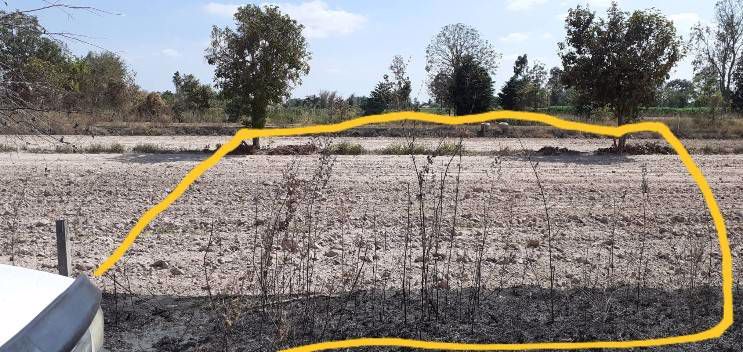 ที่ดินสวยราคาถูก-ทำเลดี-มีอนาคตใกล้มอเตอร์เวย์-เหมาะสำหรับสร้างบ้านหรือซื้อไว้เก็งกำไรในอนาคต