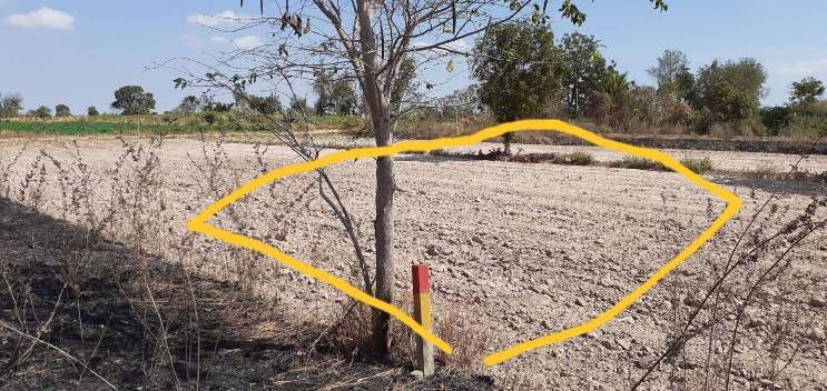 ที่ดินสวยราคาถูก-ทำเลดี-มีอนาคตใกล้มอเตอร์เวย์-เหมาะสำหรับสร้างบ้านหรือซื้อไว้เก็งกำไรในอนาคต