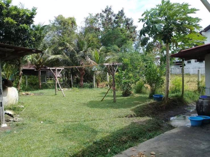 ขายบ้านพร้อมที่ดิน-บรรยากาศดี-ตอีสานเขต-อเฉลิมพระเกียรติ-จบุรีรัมย์