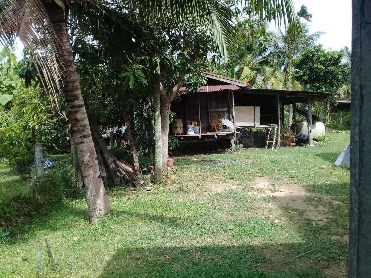 ขายบ้านพร้อมที่ดิน-บรรยากาศดี-ตอีสานเขต-อเฉลิมพระเกียรติ-จบุรีรัมย์