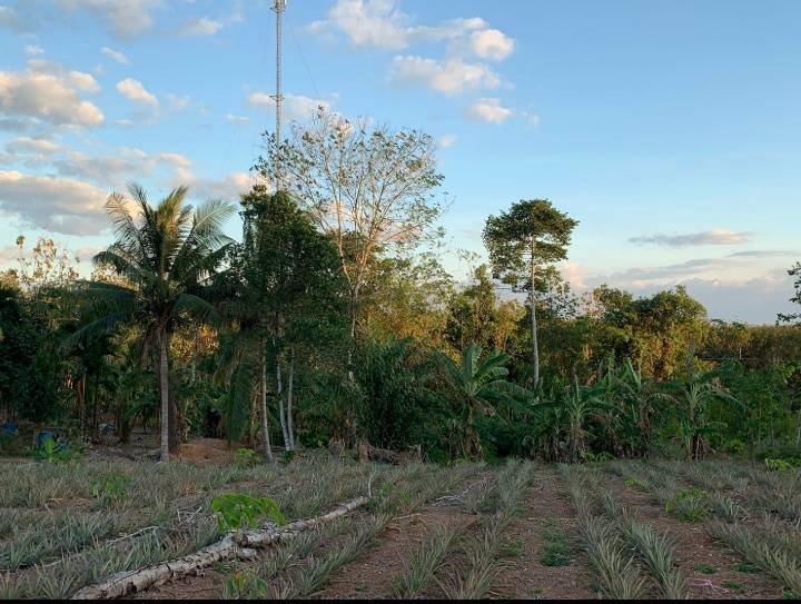 แบ่งขายที่ดินด่วน-มีโฉนด-ติดถนนใหญ่-อเมือง-จตราด