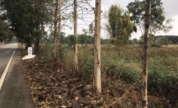 ที่ดินเปล่าแปลงสวย-ติดทางหลวงชนบท-พย4022-เหมาะสำหรับทำธุรกิจ-อดอกคำใต้-จพะเยา