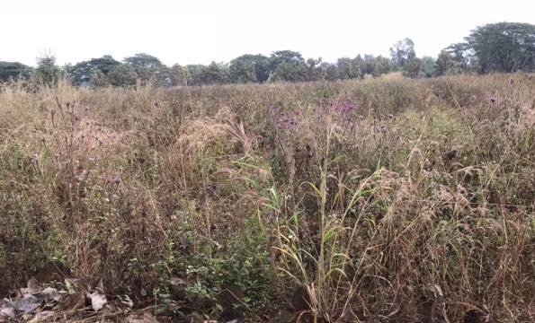 ที่ดินเปล่าแปลงสวย-ติดทางหลวงชนบท-พย4022-เหมาะสำหรับทำธุรกิจ-อดอกคำใต้-จพะเยา