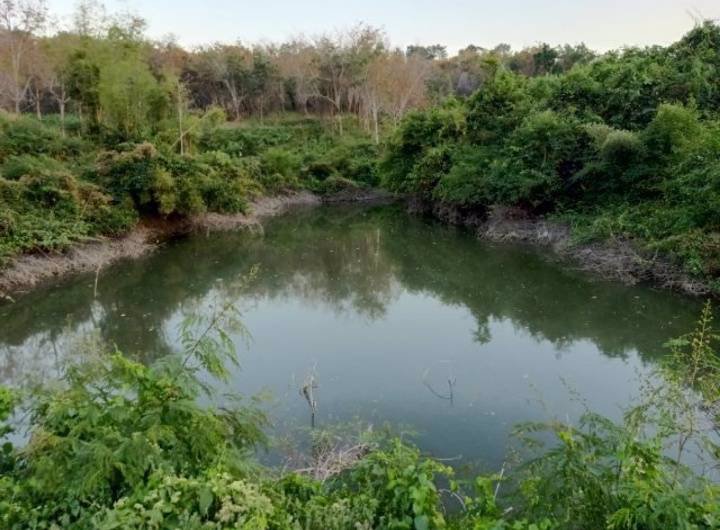 ขายที่ดินสวย-เหมาะทำการเกษตร-สร้างรีสอร์ท-ขุดดินขาย-อสอยดาว-จจันทบุรี