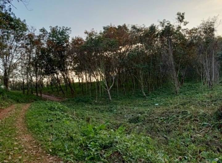 ขายที่ดินสวย-เหมาะทำการเกษตร-สร้างรีสอร์ท-ขุดดินขาย-อสอยดาว-จจันทบุรี