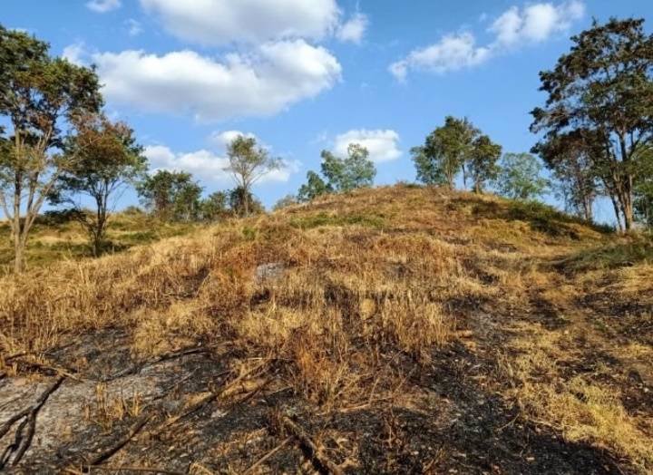 ขายที่ดินสวย-เหมาะทำการเกษตร-สร้างรีสอร์ท-ขุดดินขาย-อสอยดาว-จจันทบุรี