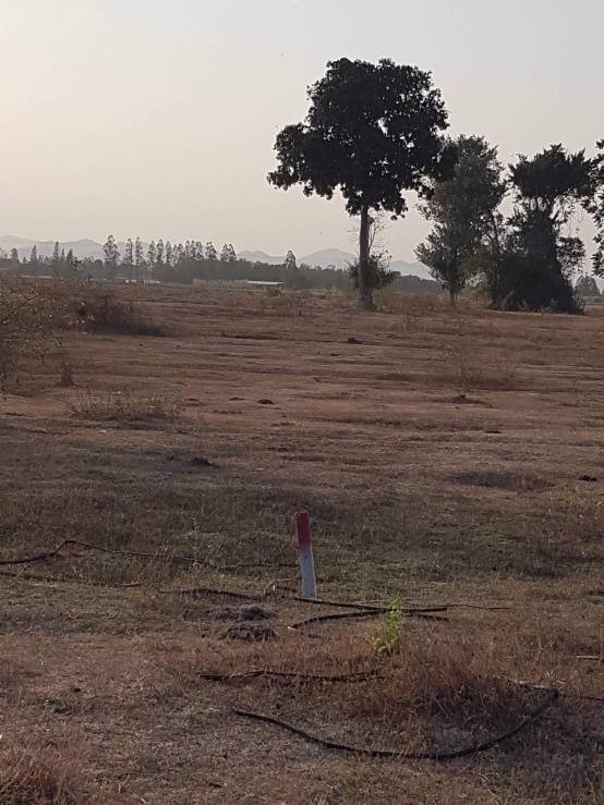 ขายที่ดิน-มีโฉนด-ราคาถูก-ตห้วยทรายเหนือ-อชะอำ-จเพชรบุรี