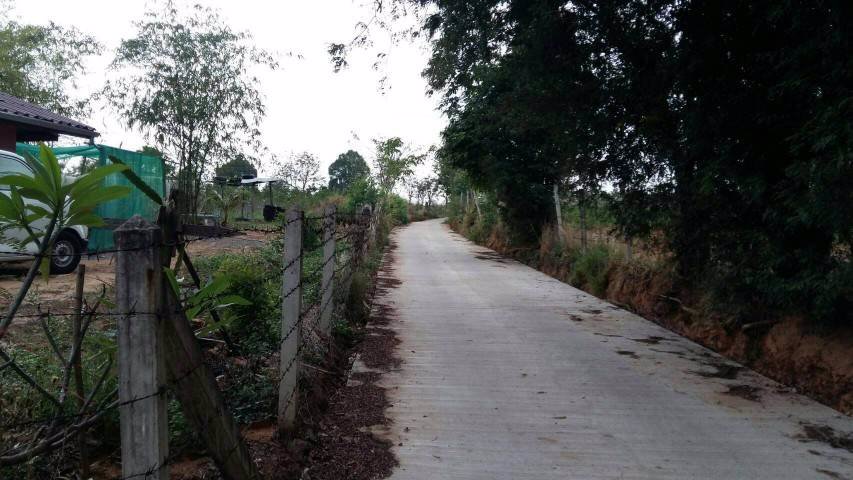 ที่ดินแบ่งขายหรือซื้อยกแปลง-มีถนน-น้ำไฟพร้อม-ใกล้อบตลาดบัวขาว-อสีคิ้ว-จนครราชสีมา