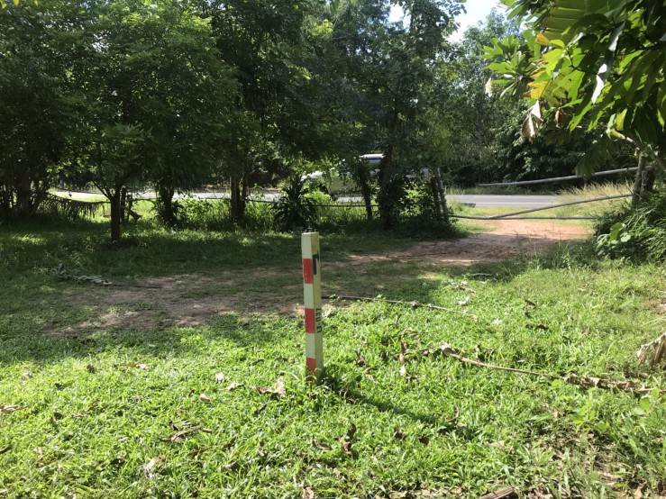 ขายที่ดินพร้อมสวนยาง-ติดถนนสี่เลน-เจ้าของขายเอง-ตโพนทราย-อเมือง-จมุกดาหาร