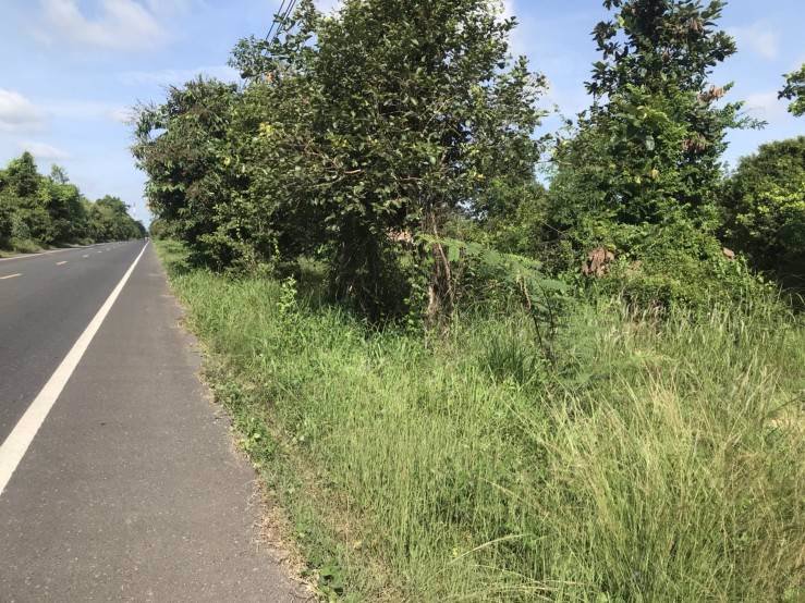 ขายที่ดินพร้อมสวนยาง-ติดถนนสี่เลน-เจ้าของขายเอง-ตโพนทราย-อเมือง-จมุกดาหาร