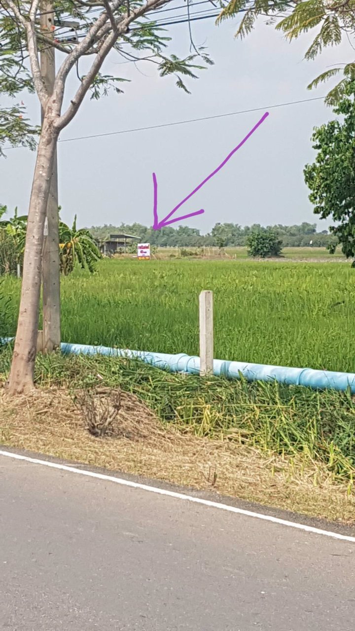 ที่ดินเขตหนองจอก-ทำเลดี-ห่างถนนคลองสิบ-คลองสิบสี่-100-เมตร