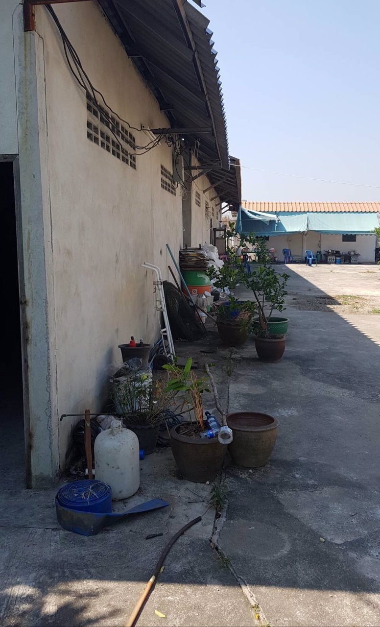 ที่ดินพร้อมห้องเช่า-ซอยแก้วอินทร์-อำเภอบางใหญ่-จังหวัดนนทบุรี