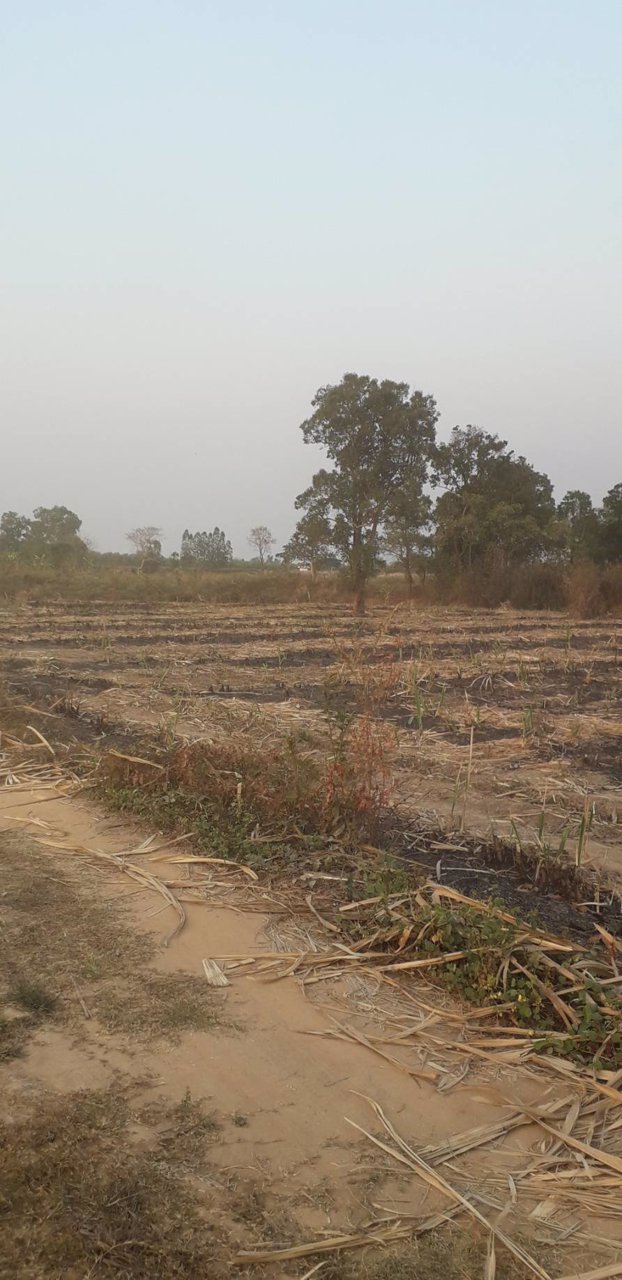 ที่ดินเปล่า-ไร่ละ-77500-ตภูแล่นช้าง-อนาคู-จกาฬสินธ์ุ