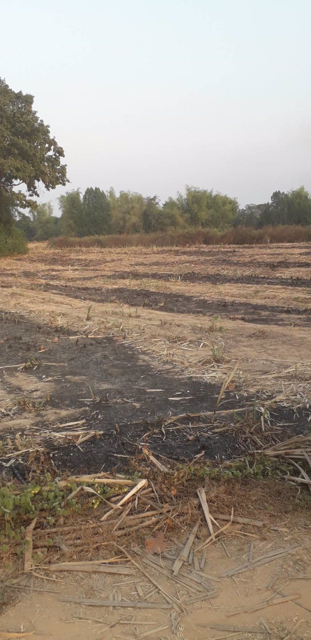 ที่ดินเปล่า-ไร่ละ-77500-ตภูแล่นช้าง-อนาคู-จกาฬสินธ์ุ