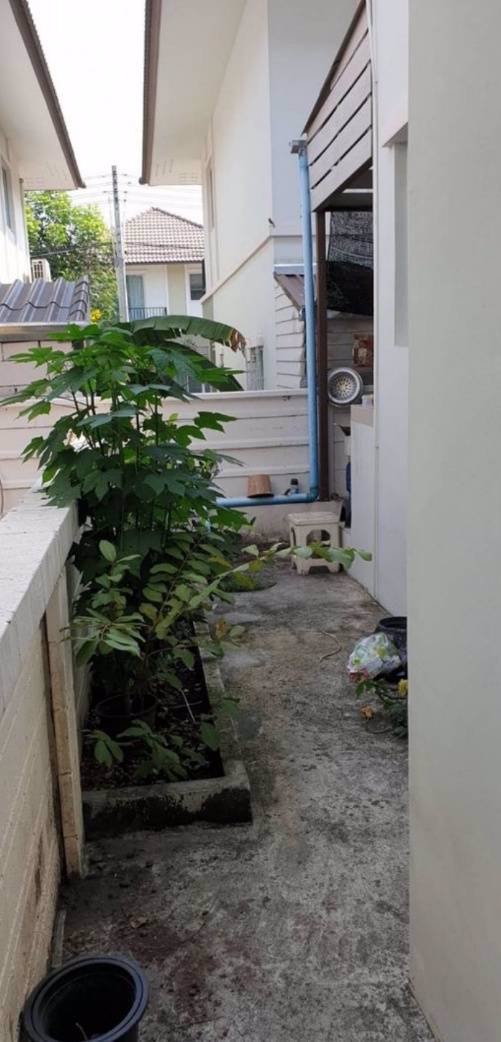 บ้านเดี่ยว-3ห้องนอน-3ห้องน้ำ-ตกแต่งต่อเติมเพิ่ม-อศรีราชา-จชลบุรี