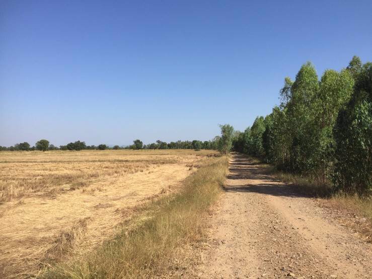 ที่ดินสวย-ราคาถูก-ทำเลดี-ใกล้แหล่งชุมชน-อท่าตะโก-จนครสวรรค์