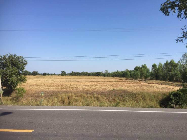 ที่ดินสวย-ราคาถูก-ทำเลดี-ใกล้แหล่งชุมชน-อท่าตะโก-จนครสวรรค์