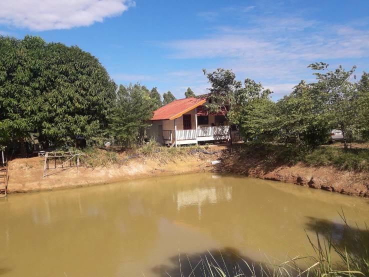 ขายด่วนที่ดินสวนพร้อมบ้านพัก-อวานรนิวาส-จสกลนคร