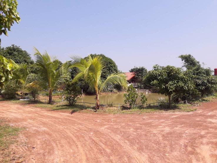 ขายด่วนที่ดินสวนพร้อมบ้านพัก-อวานรนิวาส-จสกลนคร