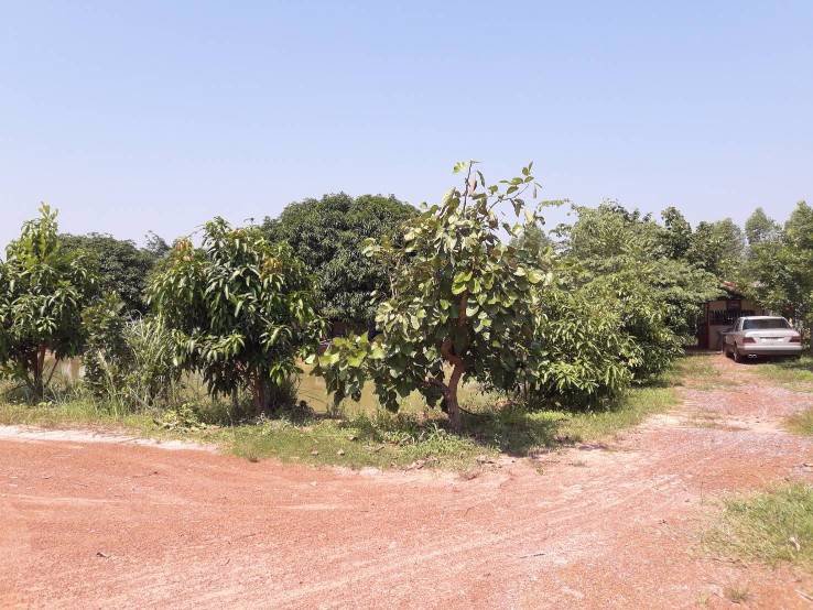 ขายด่วนที่ดินสวนพร้อมบ้านพัก-อวานรนิวาส-จสกลนคร