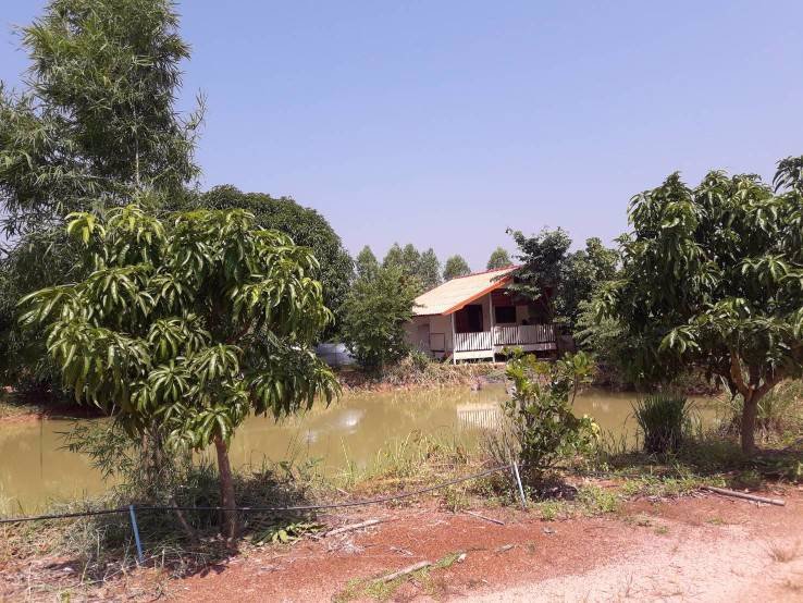 ขายด่วนที่ดินสวนพร้อมบ้านพัก-อวานรนิวาส-จสกลนคร