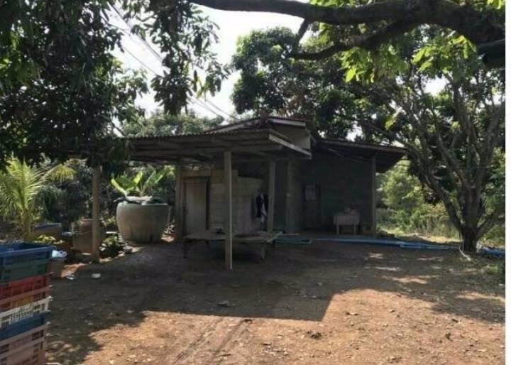 ที่ดินสวนลำไยพร้อมบ้านพักบ่อน้ำ-เก็บผลผลิตได้ทุกปี-อสอยดาว-จจันทบุรี