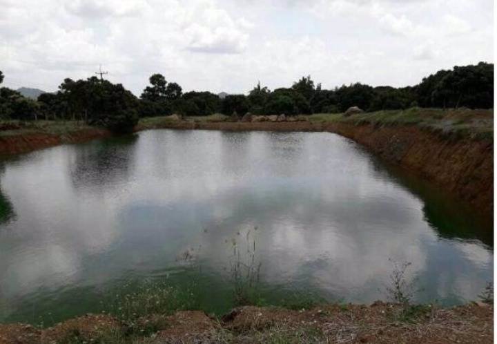 ที่ดินสวนลำไยพร้อมบ้านพักบ่อน้ำ-เก็บผลผลิตได้ทุกปี-อสอยดาว-จจันทบุรี