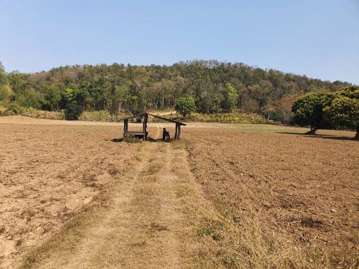 ขายที่ดินผืนสวย-ยกแปลง-เจ้าของขายเอง-อพญาเม็งราย-จเชียงราย