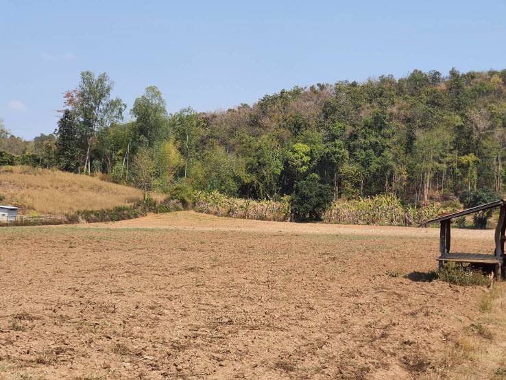 ขายที่ดินผืนสวย-ยกแปลง-เจ้าของขายเอง-อพญาเม็งราย-จเชียงราย