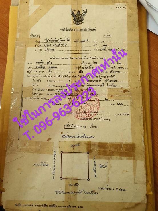 ขายที่ดินผืนสวย-ยกแปลง-เจ้าของขายเอง-อพญาเม็งราย-จเชียงราย