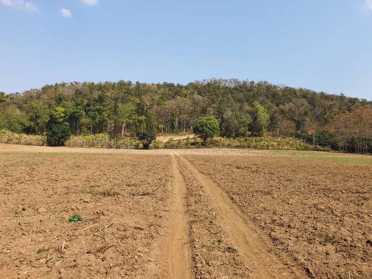 ขายที่ดินผืนสวย-ยกแปลง-เจ้าของขายเอง-อพญาเม็งราย-จเชียงราย