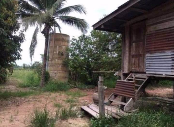 ที่ดินราคาถูกเหมาะแก่การซื้อไว้ลงทุน-อเมือง-จกำแพงเพชร