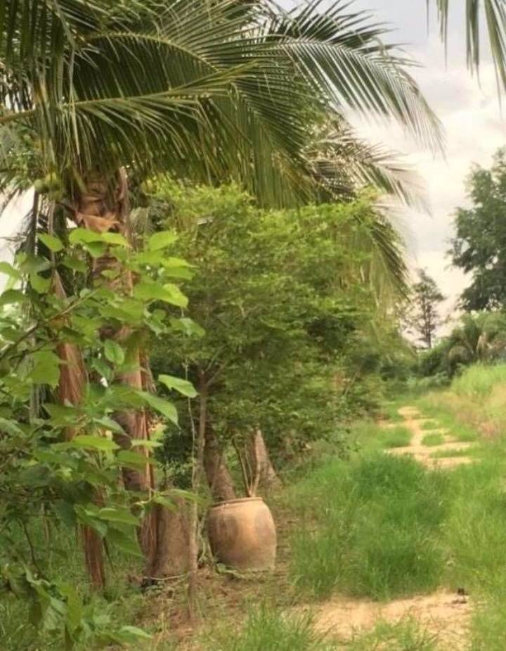 ที่ดินราคาถูกเหมาะแก่การซื้อไว้ลงทุน-อเมือง-จกำแพงเพชร