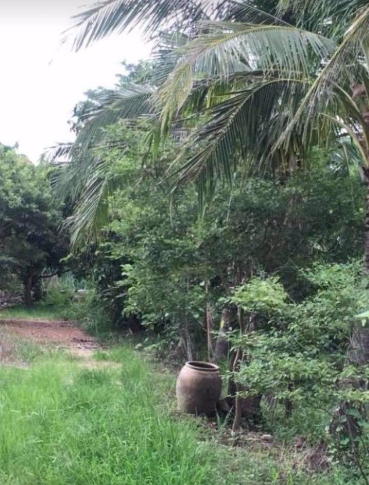 ที่ดินราคาถูกเหมาะแก่การซื้อไว้ลงทุน-อเมือง-จกำแพงเพชร