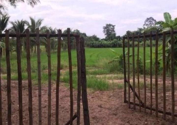 ที่ดินราคาถูกเหมาะแก่การซื้อไว้ลงทุน-อเมือง-จกำแพงเพชร