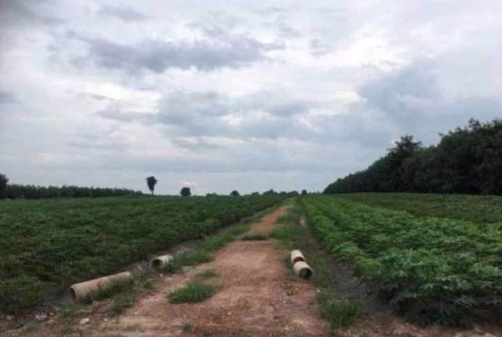 ที่ดินราคาถูกเหมาะแก่การซื้อไว้ลงทุน-อเมือง-จกำแพงเพชร