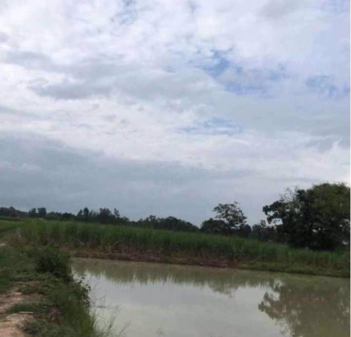 ที่ดินราคาถูกเหมาะแก่การซื้อไว้ลงทุน-อเมือง-จกำแพงเพชร