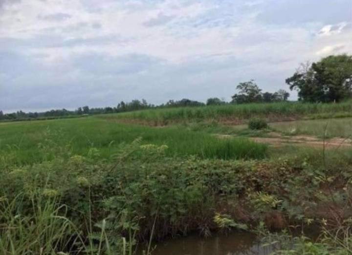 ที่ดินราคาถูกเหมาะแก่การซื้อไว้ลงทุน-อเมือง-จกำแพงเพชร