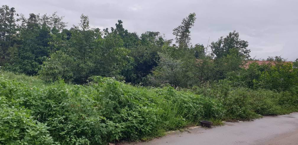 ที่ดินเปล่า-ทำเลดี-หน้ามหาลัย-เหมาะสร้างหอพัก-หรือที่อยู่อาศัย-อเมือง-จลำปาง