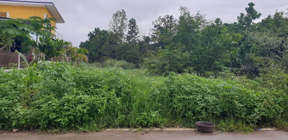 ที่ดินเปล่า-ทำเลดี-หน้ามหาลัย-เหมาะสร้างหอพัก-หรือที่อยู่อาศัย-อเมือง-จลำปาง