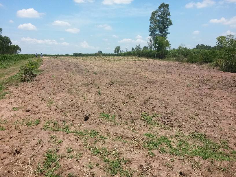 ที่ดินสวนเกษตรพร้อมบ้าน-ราคาถูก-ตสระขวัญ-จสระแก้ว